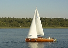 Segler auf der Müritz : Segelboot, Wald, See